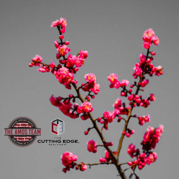 Canon City Music & Blossom Festival Lorraine Amos at The Cutting Edge